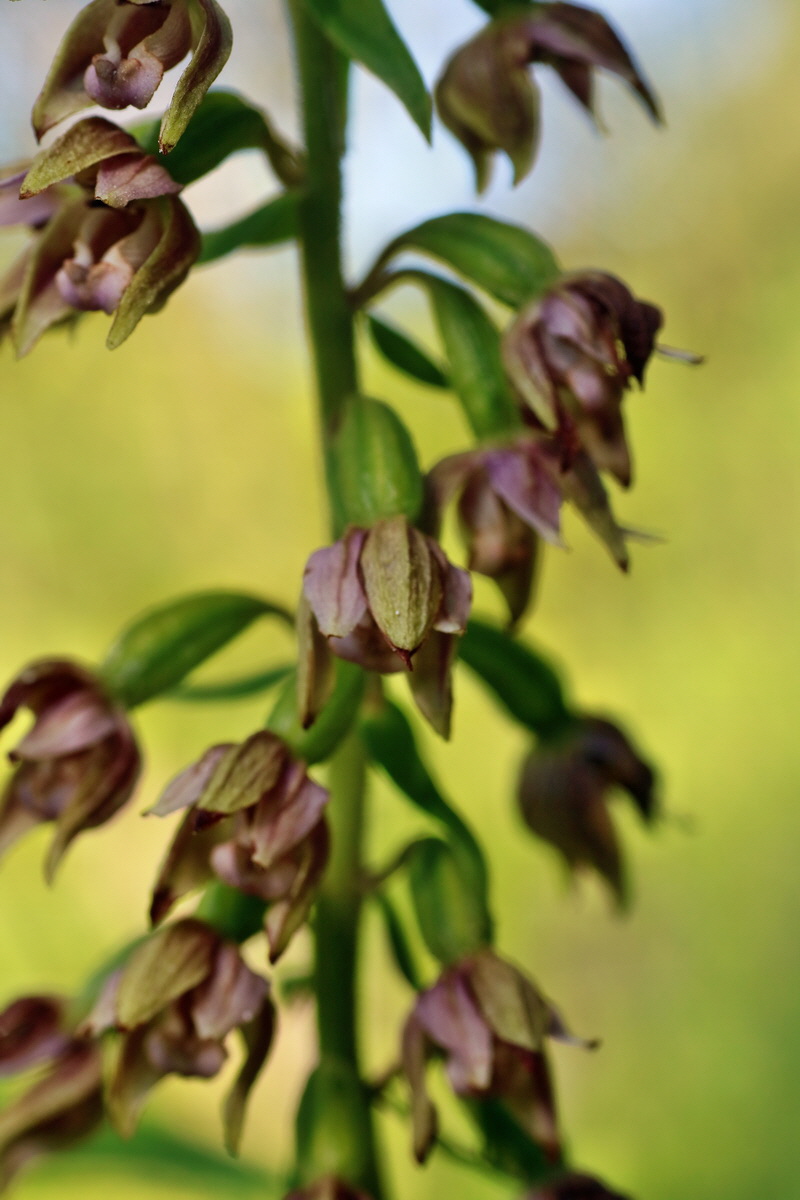 IMG-2016-07-20-00020887p_Bildgr��e �ndern