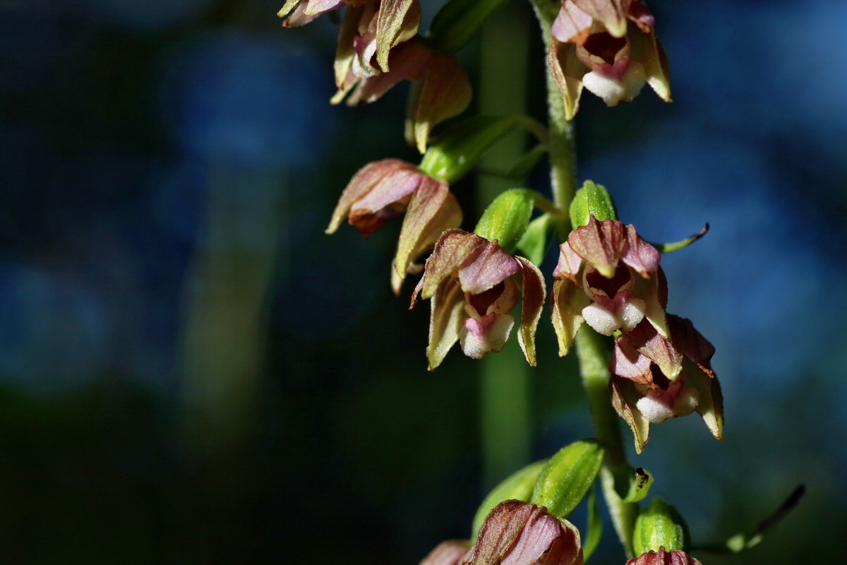 IMG-2016-07-20-00020889p_Bildgr��e �ndern