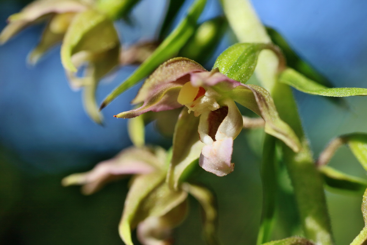 IMG-2016-07-20-00020900p_Bildgr��e �ndern