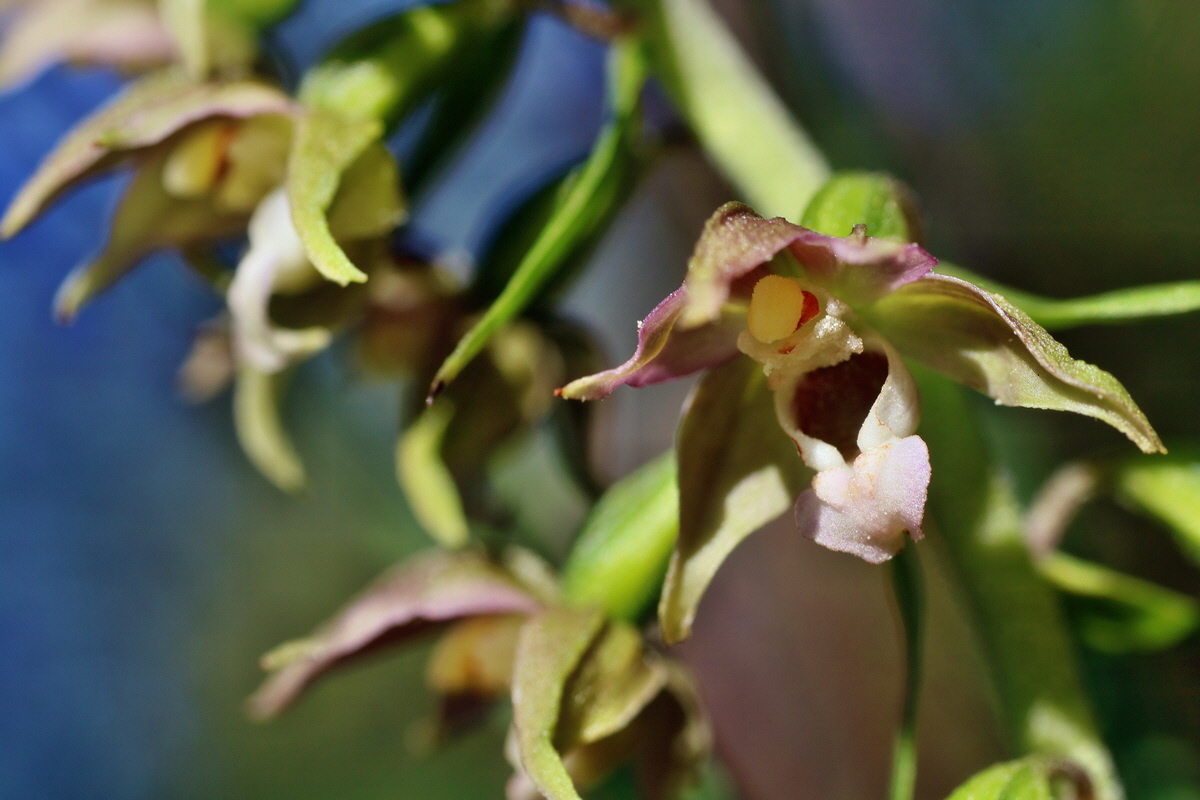 IMG-2016-07-20-00020904p_Bildgr��e �ndern