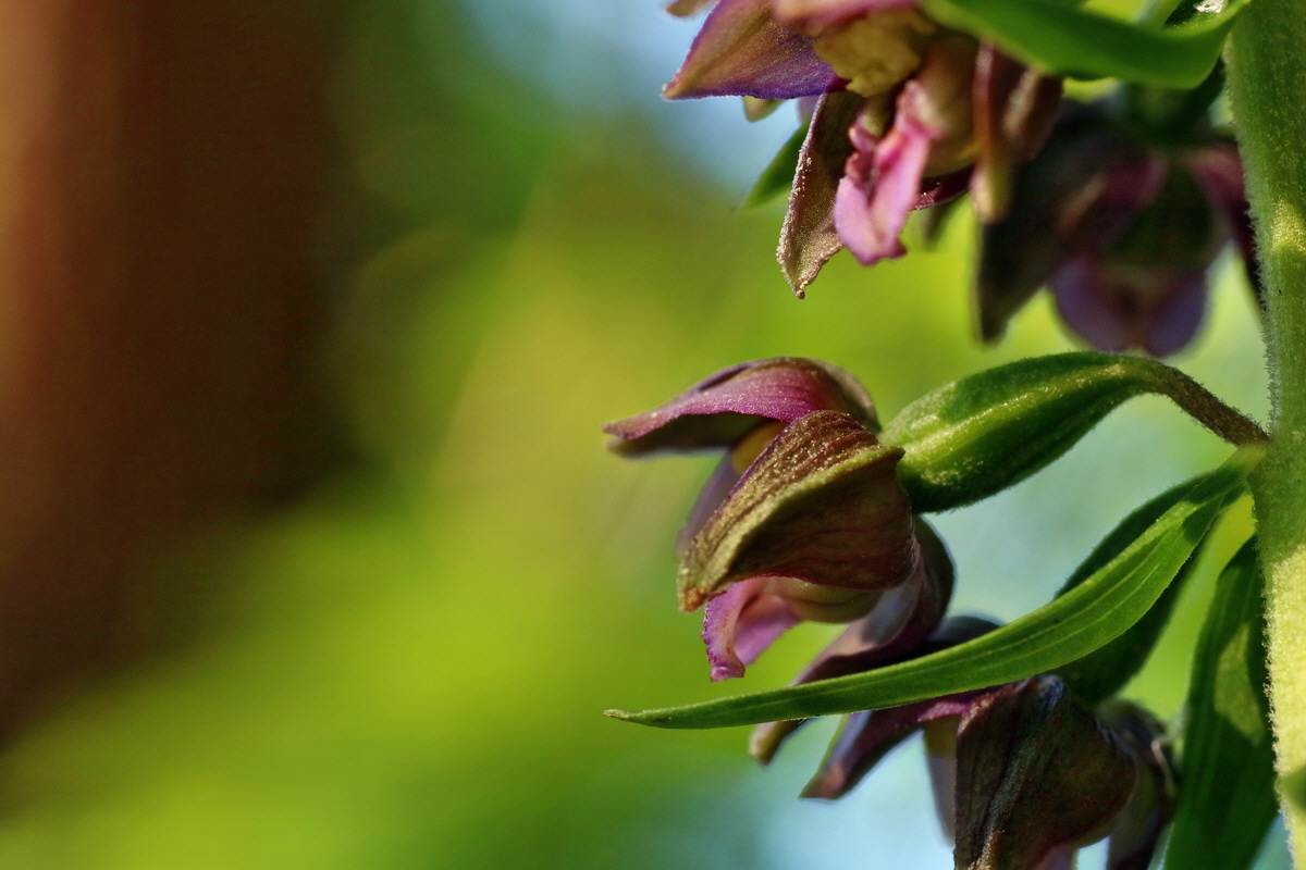 IMG-2016-07-20-00020909p_Bildgr��e �ndern