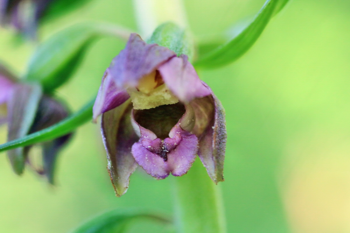 IMG-2016-07-20-00020916p_Bildgr��e �ndern