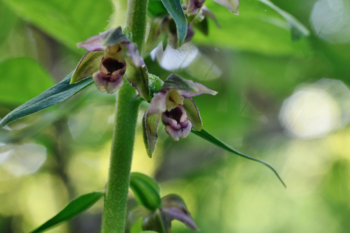 IMG-2016-07-20-00020920p_Bildgr��e �ndern