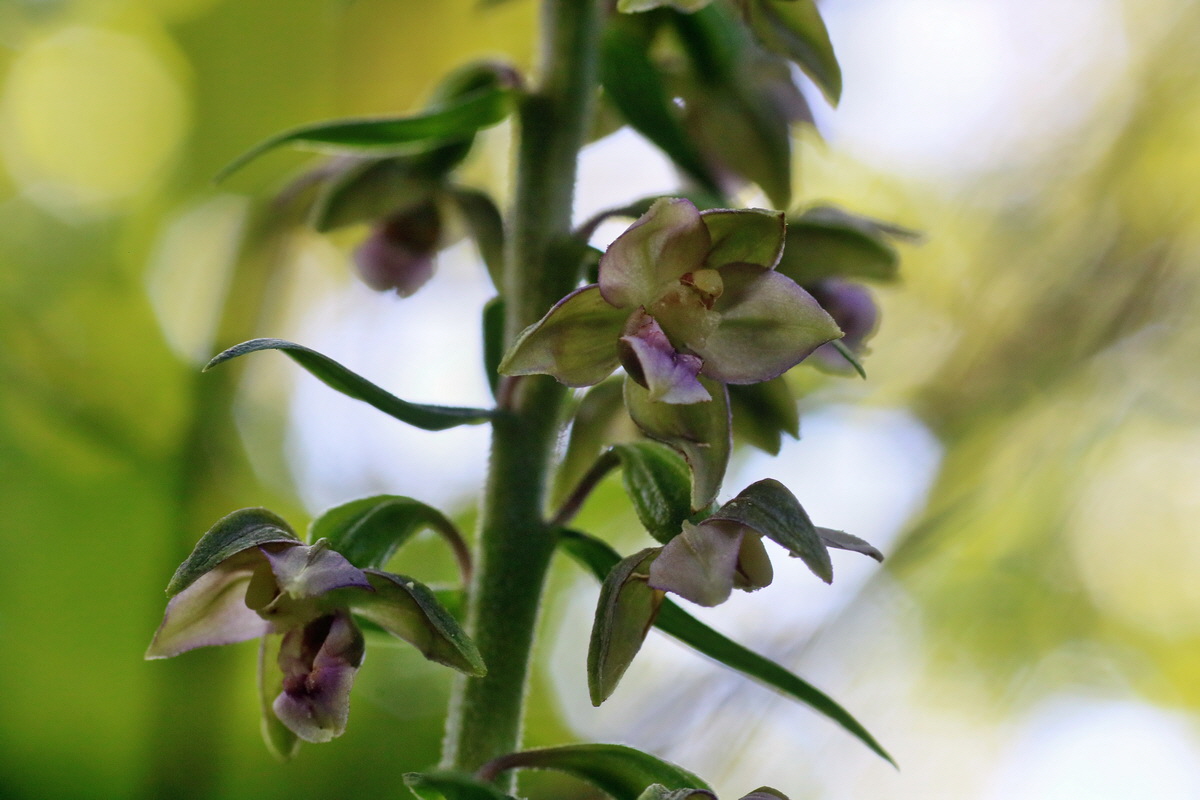 IMG-2016-07-20-00020926p_Bildgr��e �ndern