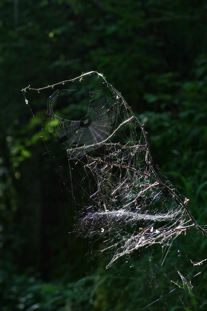 IMG-2016-07-20-00020936p_Bildgr��e �ndern