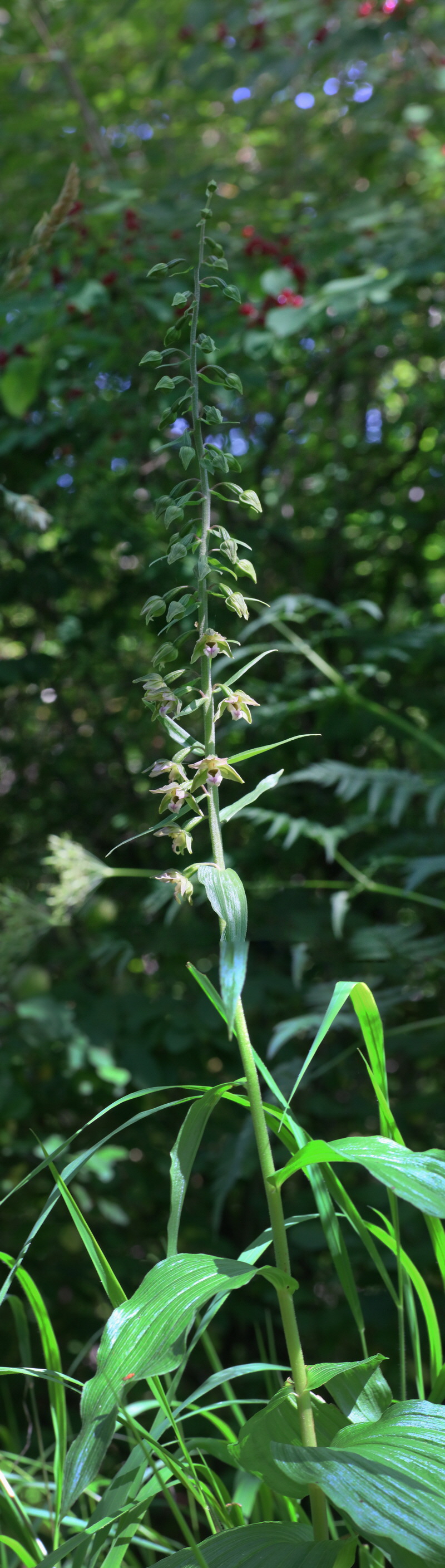 [Group 1]-IMG-2016-07-24-00020988_IMG-2016-07-24-00020997-3 images_Bildgr��e �ndern