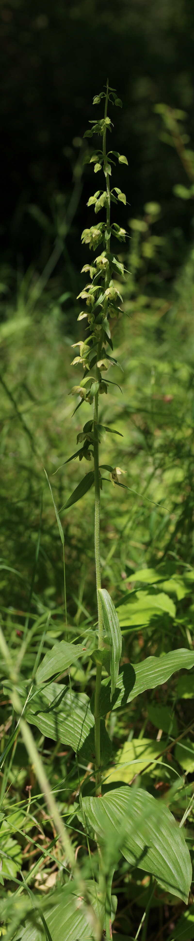 [Group 1]-IMG-2016-07-24-00021224_IMG-2016-07-24-00021239-16 images_Bildgr��e �ndern