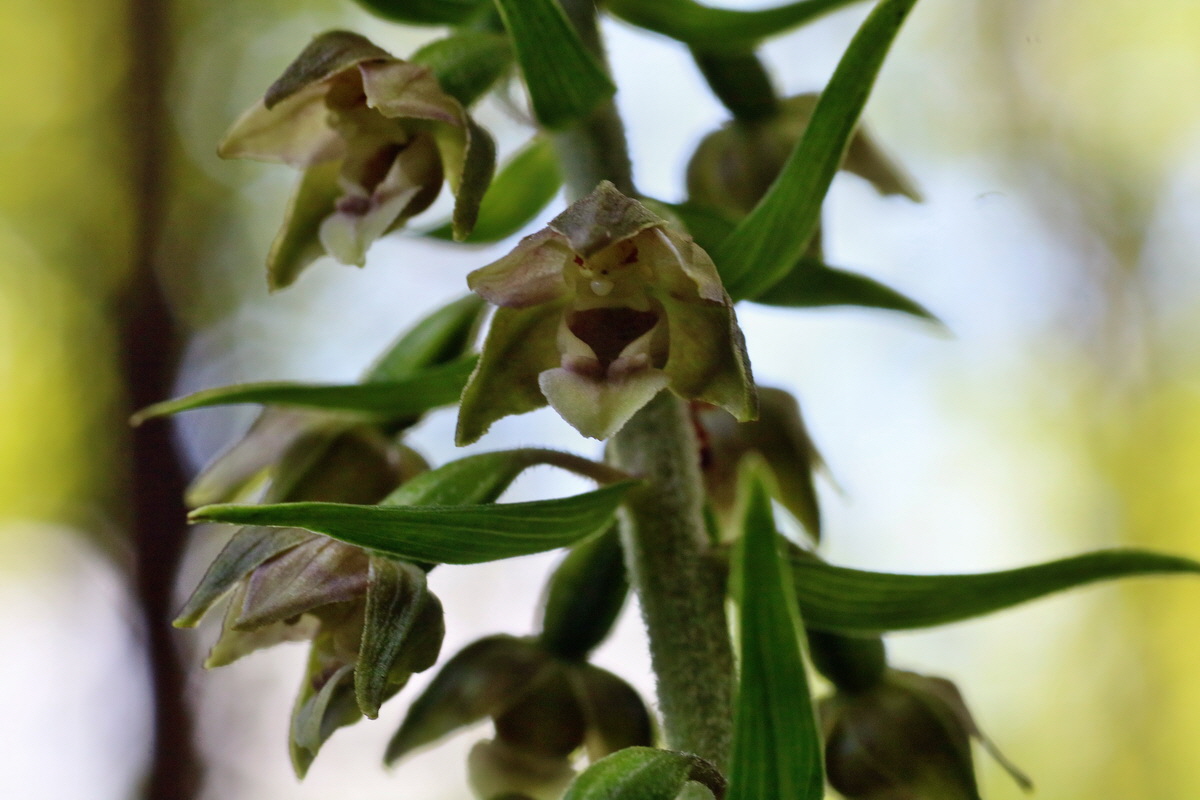 IMG-2016-07-24-00020972p_Bildgr��e �ndern