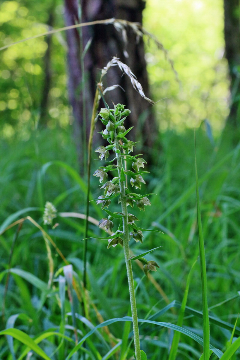 IMG-2016-07-24-00020976p_Bildgr��e �ndern