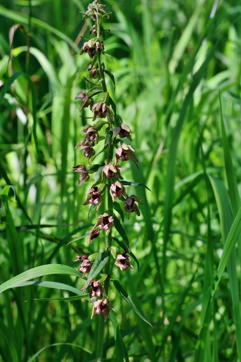 IMG-2016-07-24-00020979p_Bildgr��e �ndern