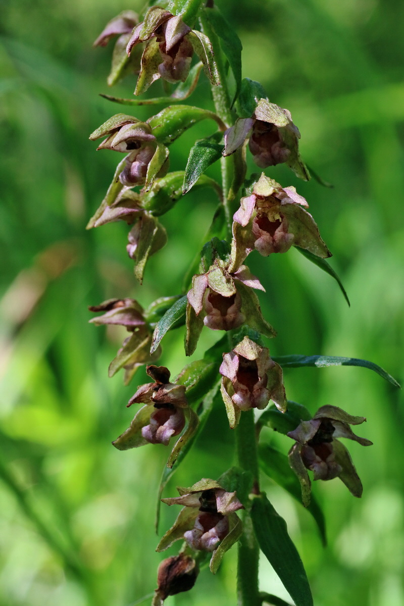 IMG-2016-07-24-00020981p_Bildgr��e �ndern