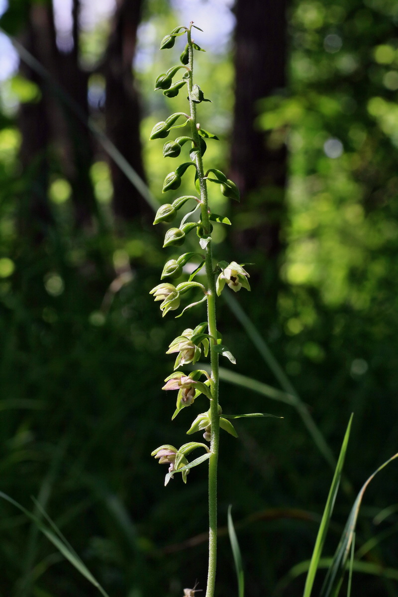 IMG-2016-07-24-00020986p_Bildgr��e �ndern