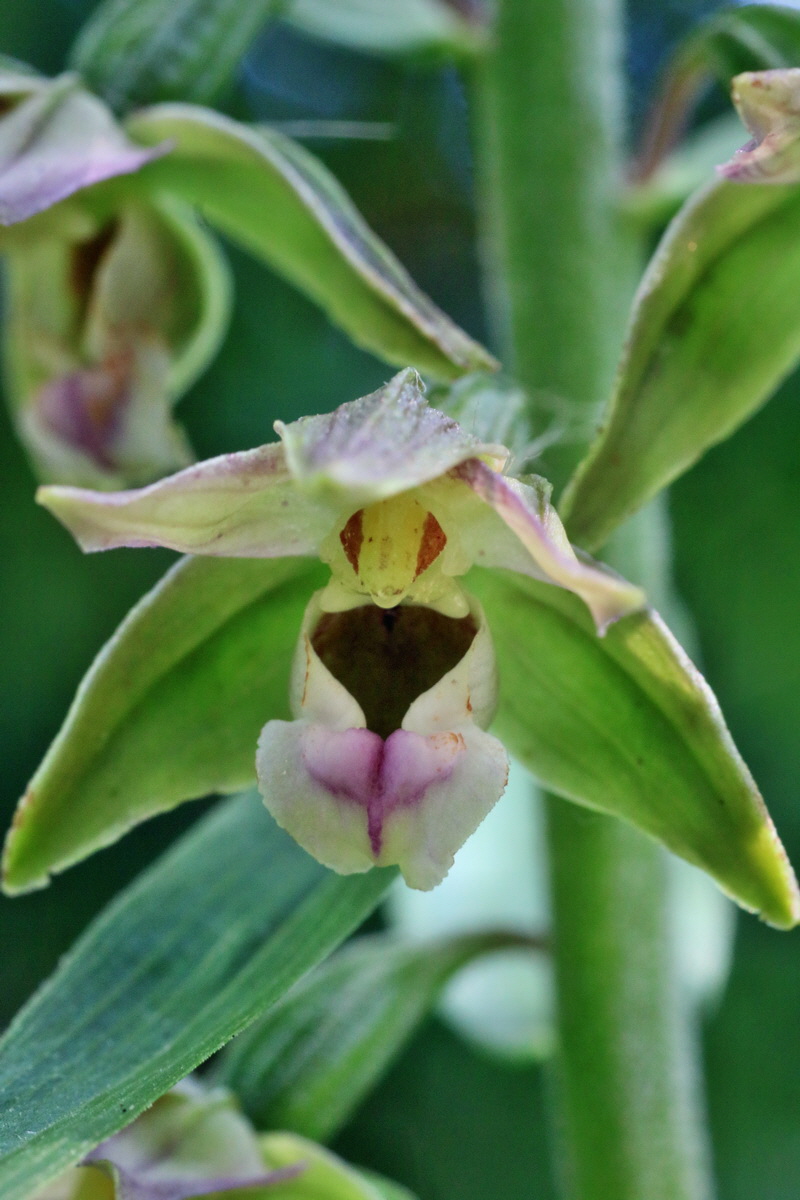 IMG-2016-07-24-00021014p_Bildgr��e �ndern