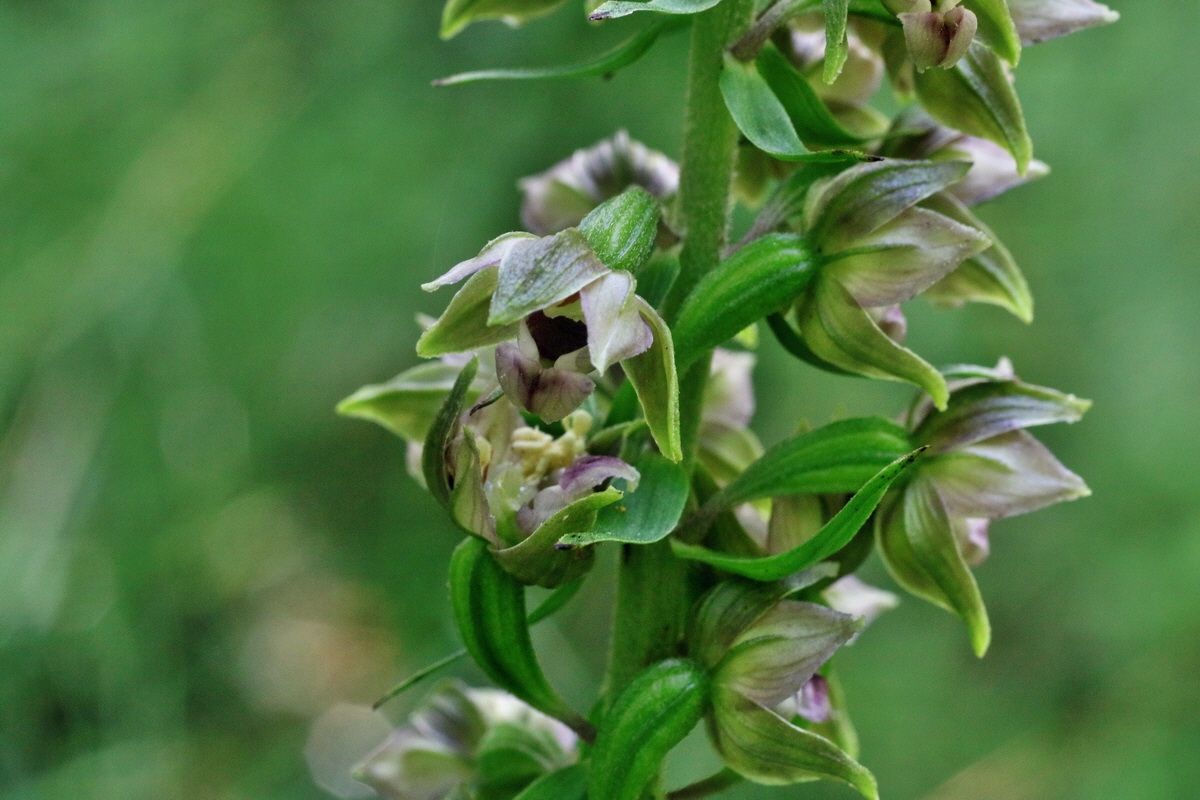 IMG-2016-07-24-00021017p_Bildgr��e �ndern