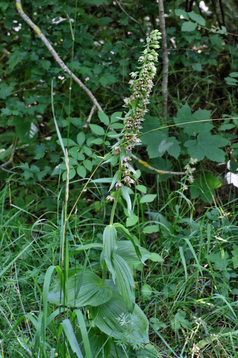 IMG-2016-07-24-00021022p_Bildgr��e �ndern