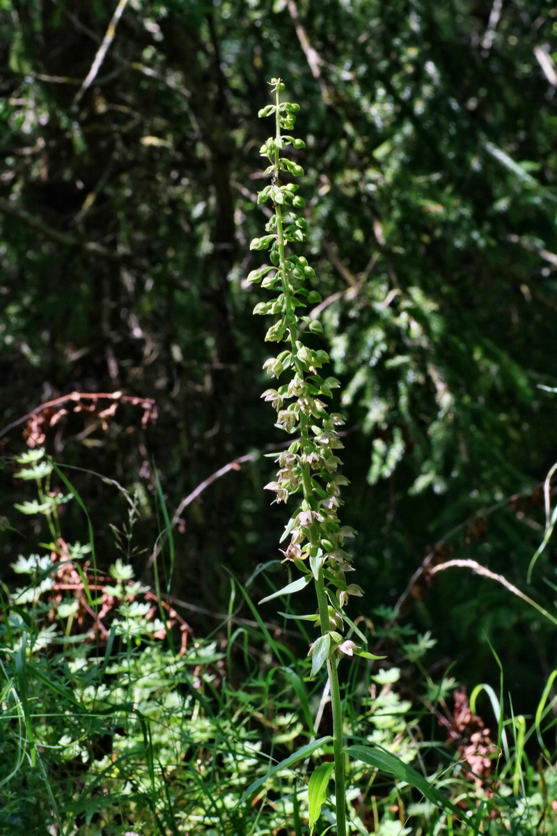 IMG-2016-07-24-00021023p_Bildgr��e �ndern