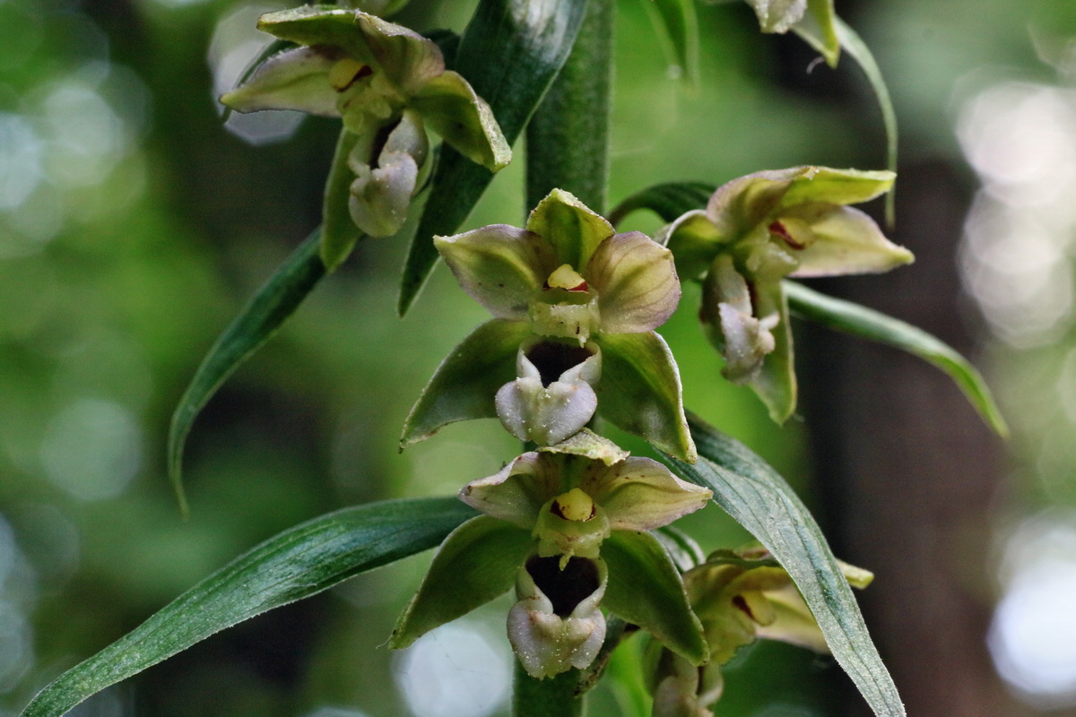 IMG-2016-07-24-00021031p_Bildgr��e �ndern