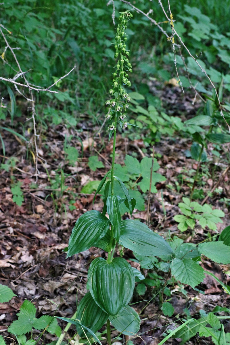 IMG-2016-07-24-00021049p_Bildgr��e �ndern