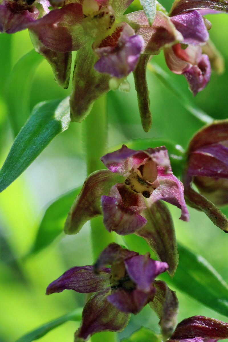 IMG-2016-07-24-00021062p_Bildgr��e �ndern