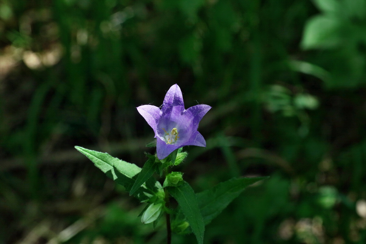 IMG-2016-07-24-00021064p_Bildgr��e �ndern