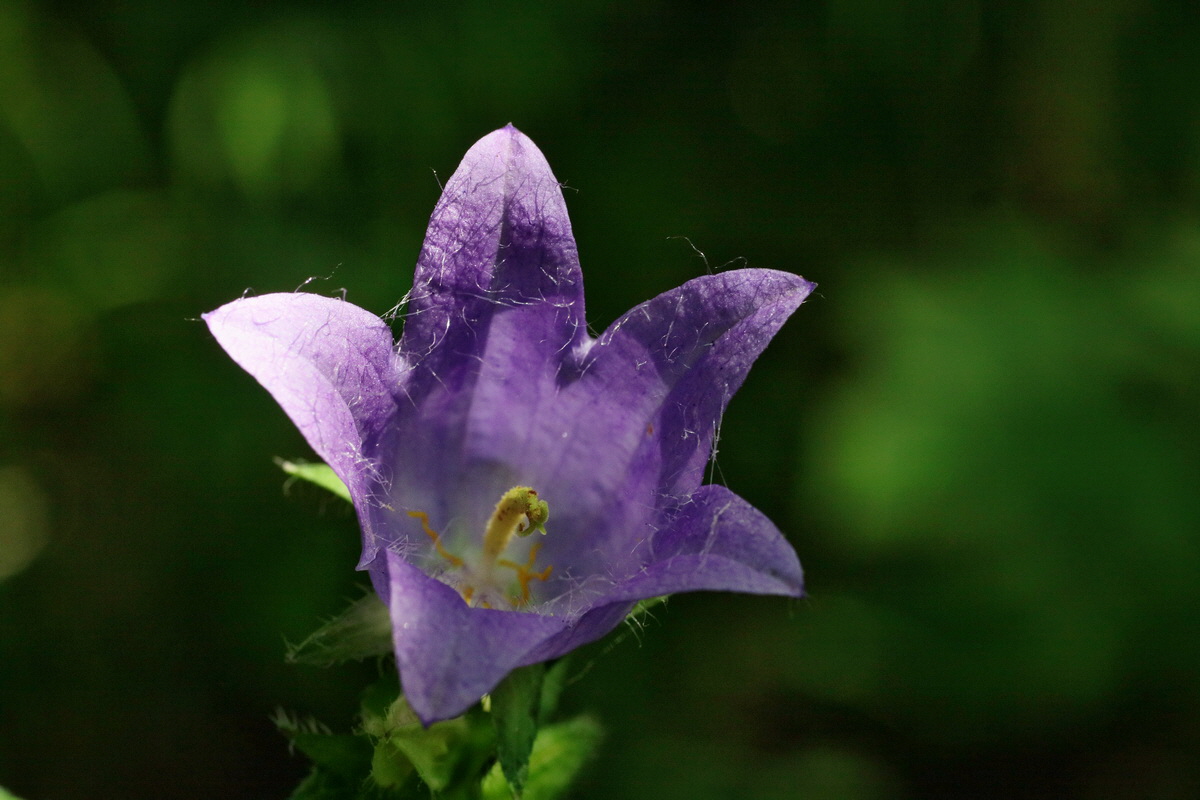 IMG-2016-07-24-00021067p_Bildgr��e �ndern