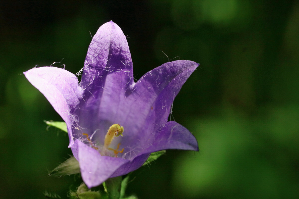 IMG-2016-07-24-00021070p_Bildgr��e �ndern