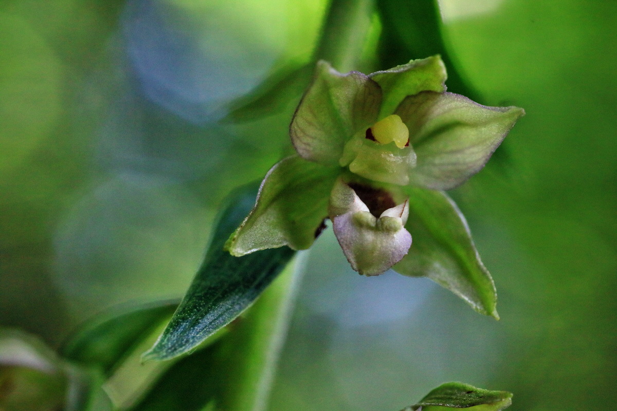 IMG-2016-07-24-00021082p_Bildgr��e �ndern