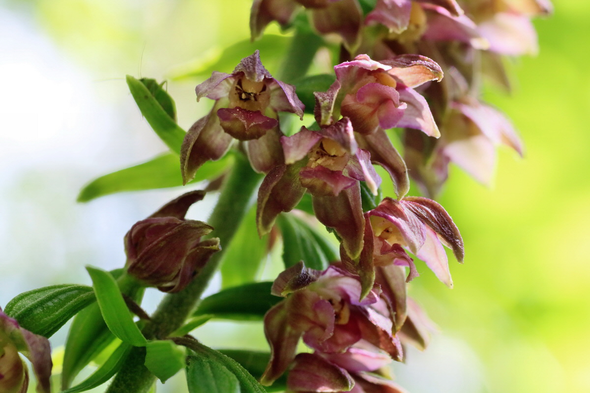 IMG-2016-07-24-00021122p_Bildgr��e �ndern