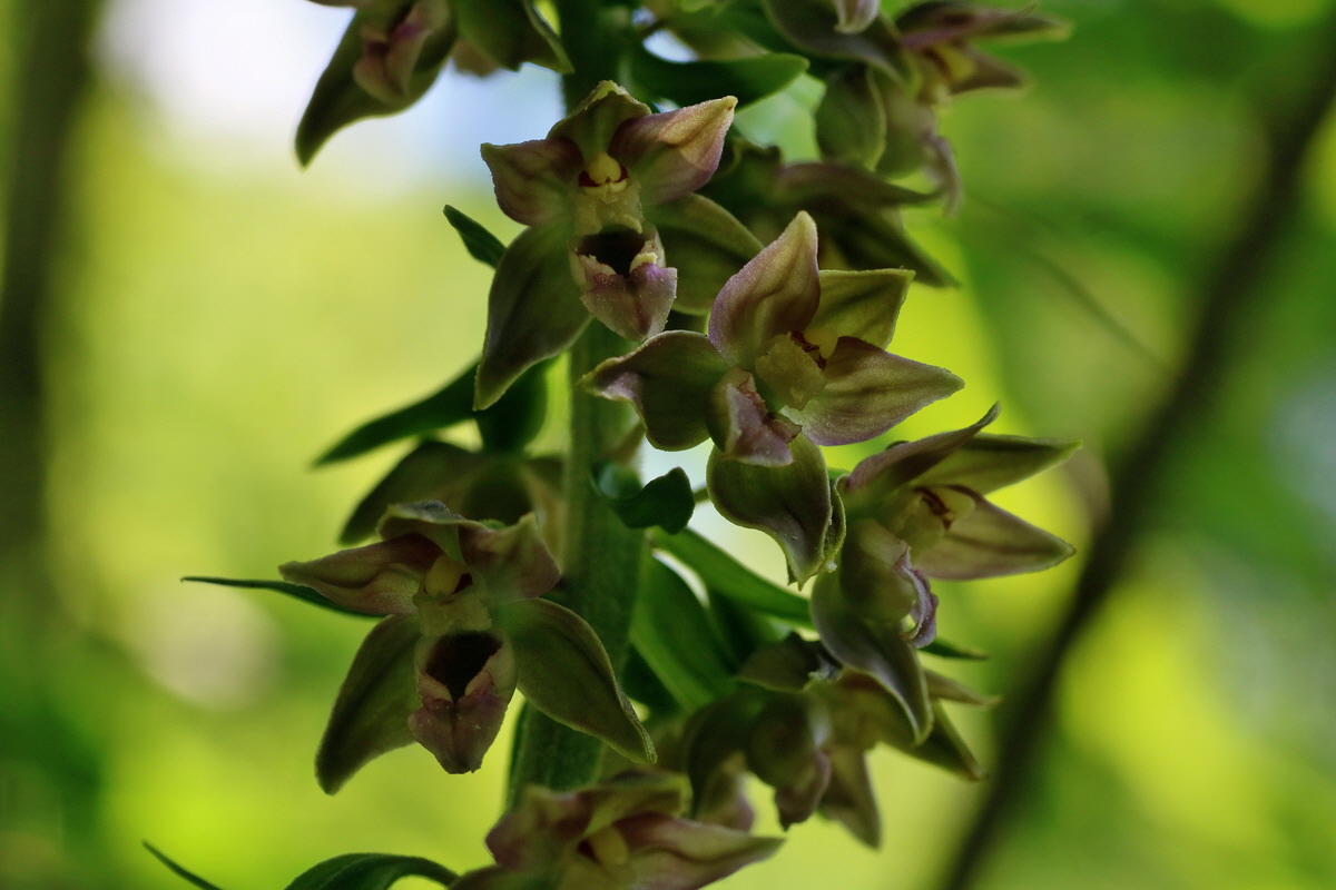 IMG-2016-07-24-00021127p_Bildgr��e �ndern