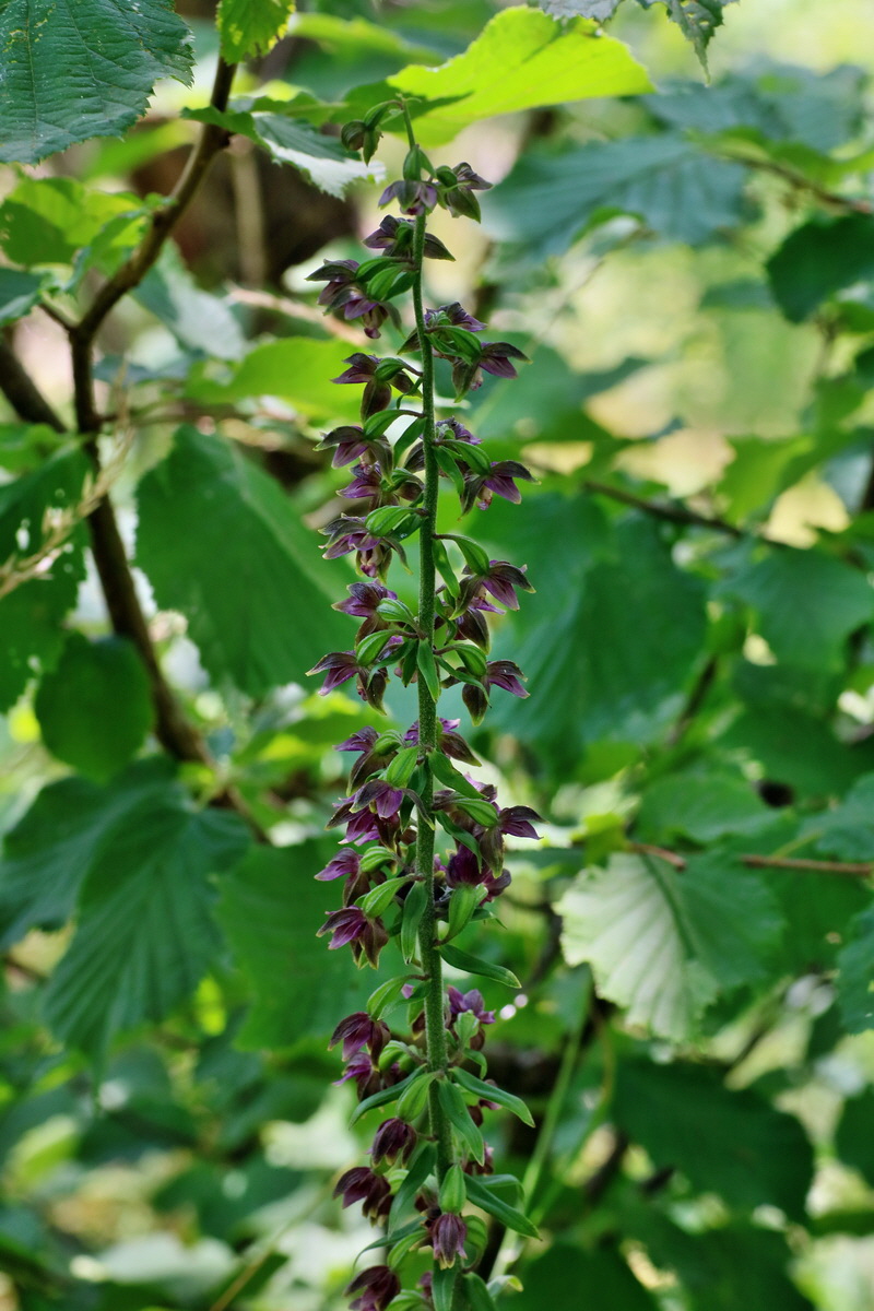 IMG-2016-07-24-00021144p_Bildgr��e �ndern