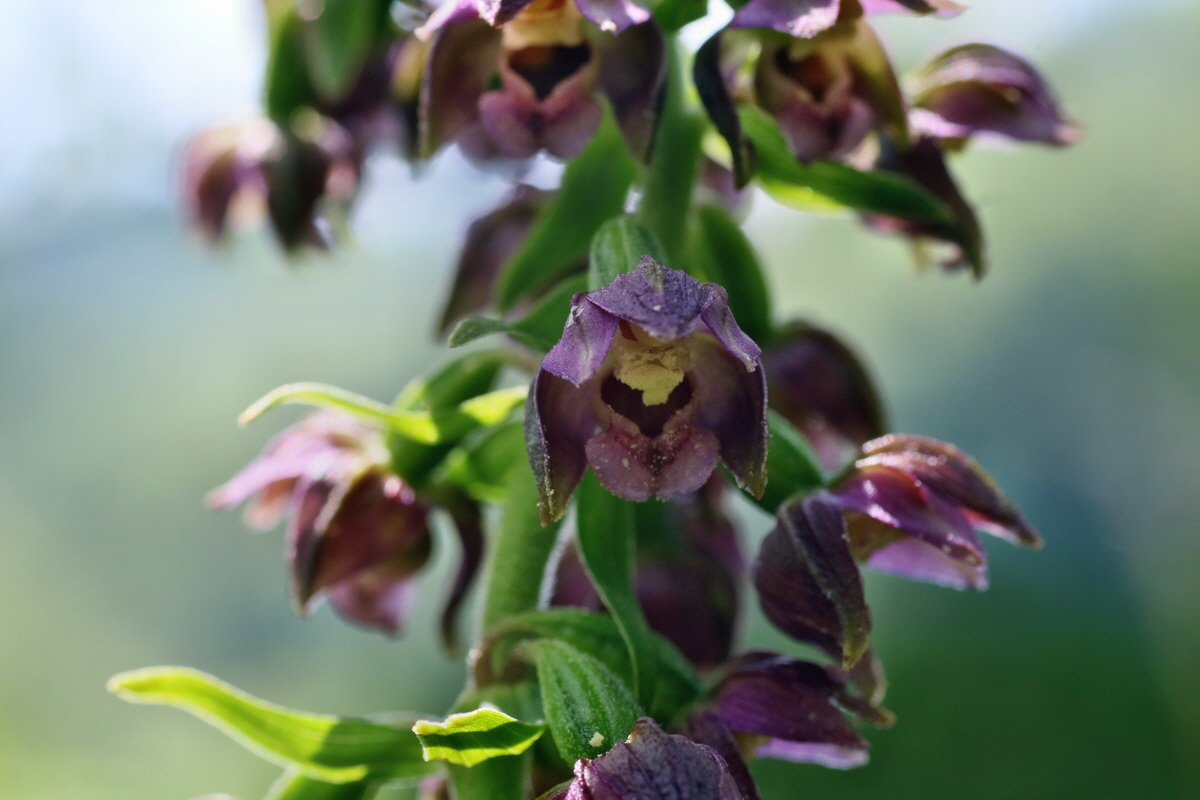 IMG-2016-07-24-00021148p_Bildgr��e �ndern