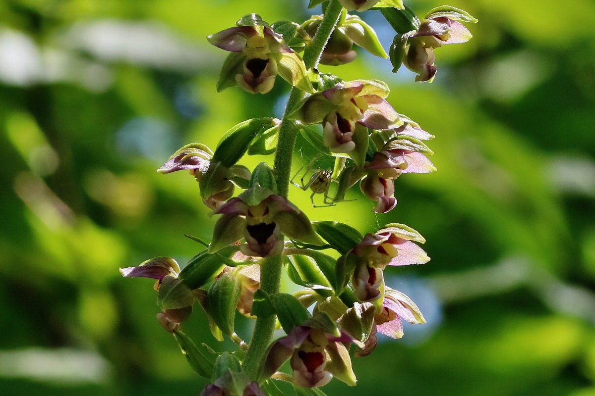 IMG-2016-07-24-00021158ap_Bildgr��e �ndern