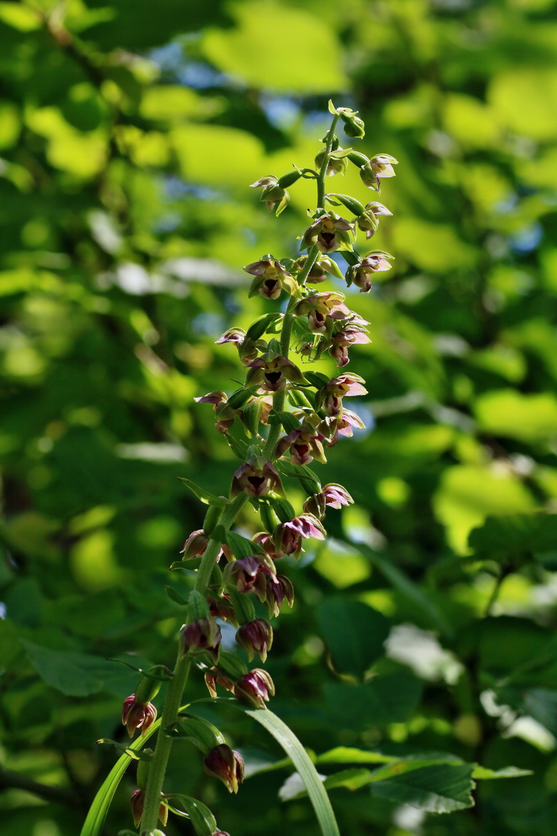 IMG-2016-07-24-00021158p_Bildgr��e �ndern