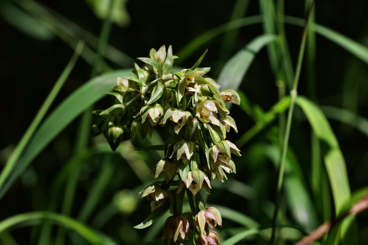 IMG-2016-07-24-00021166p_Bildgr��e �ndern