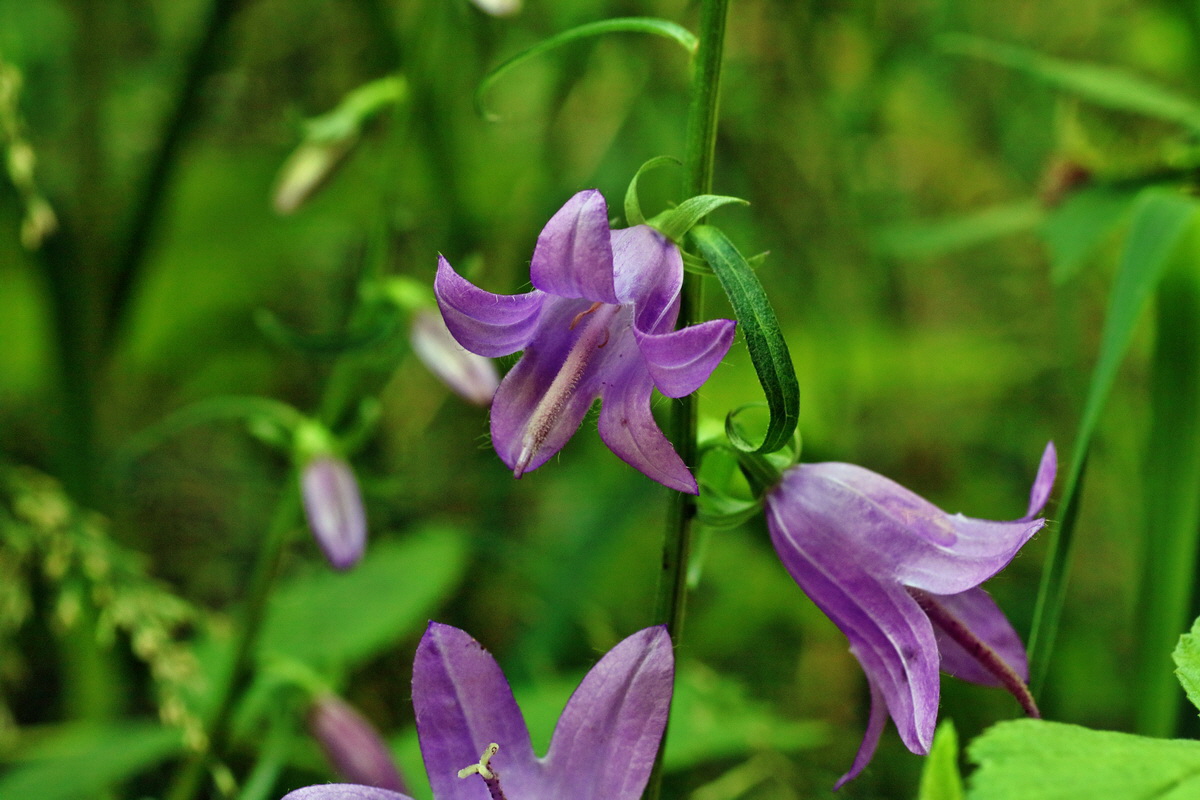 IMG-2016-07-24-00021174p_Bildgr��e �ndern