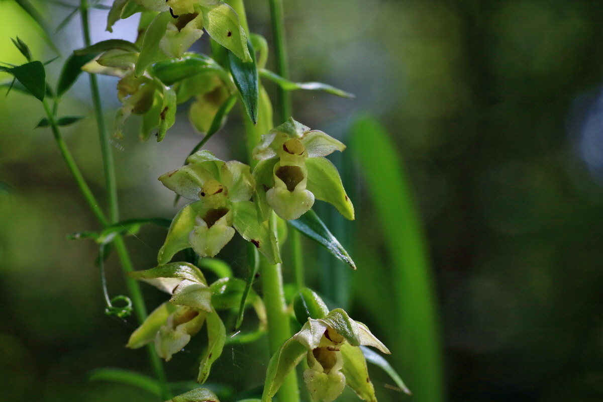 IMG-2016-07-24-00021219p_Bildgr��e �ndern