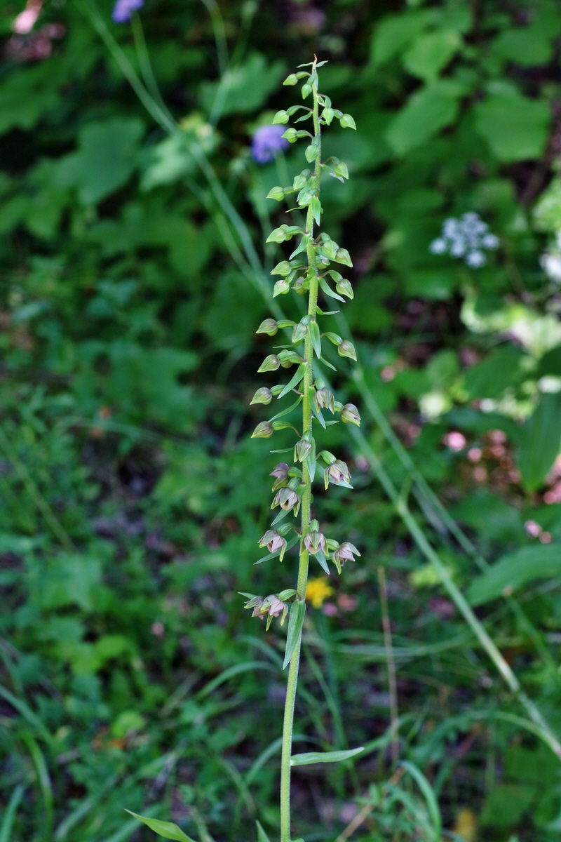 IMG-2016-07-24-00021222p_Bildgr��e �ndern