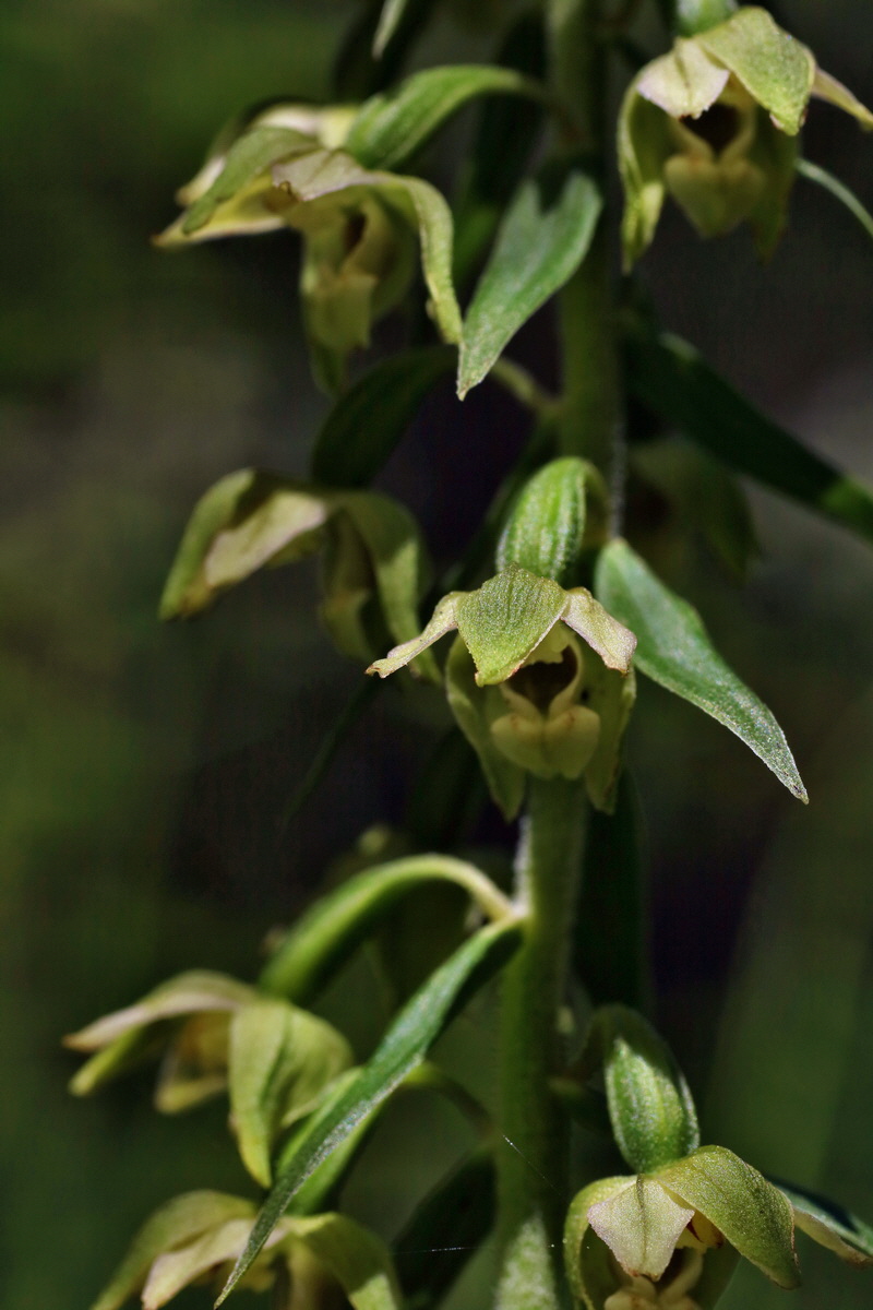 IMG-2016-07-24-00021241p_Bildgr��e �ndern