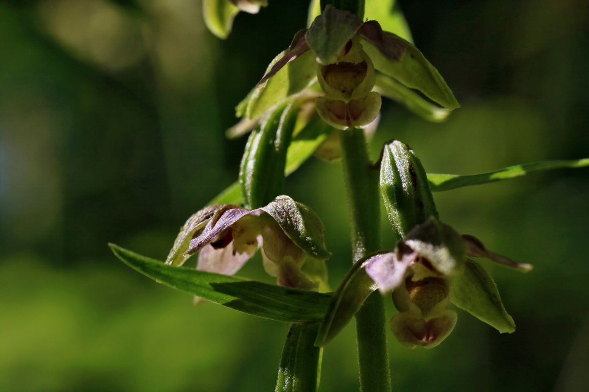 IMG-2016-07-24-00021250p_Bildgr��e �ndern