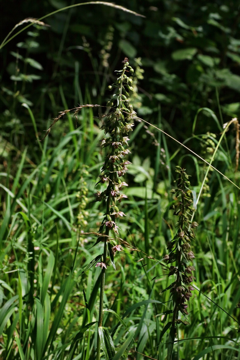 IMG-2016-07-24-00021262p_Bildgr��e �ndern