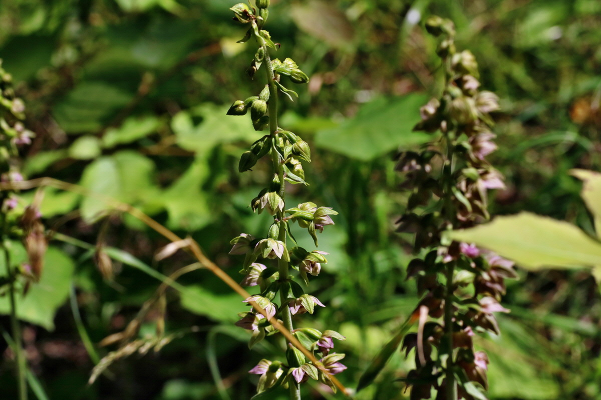 IMG-2016-07-24-00021274p_Bildgr��e �ndern