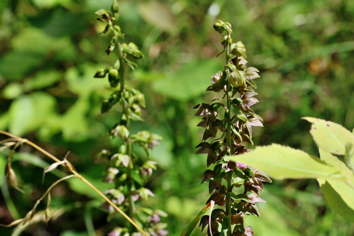 IMG-2016-07-24-00021276p_Bildgr��e �ndern