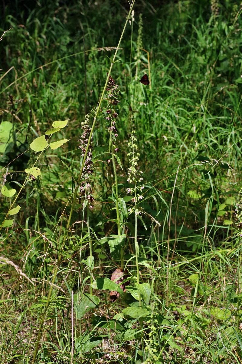 IMG-2016-07-24-00021278p_Bildgr��e �ndern