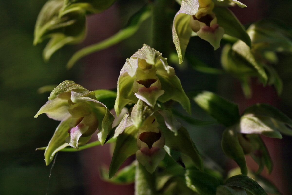 IMG-2016-07-24-00021287p_Bildgr��e �ndern