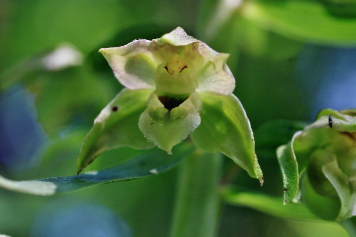 IMG-2016-07-24-00021299p_Bildgr��e �ndern