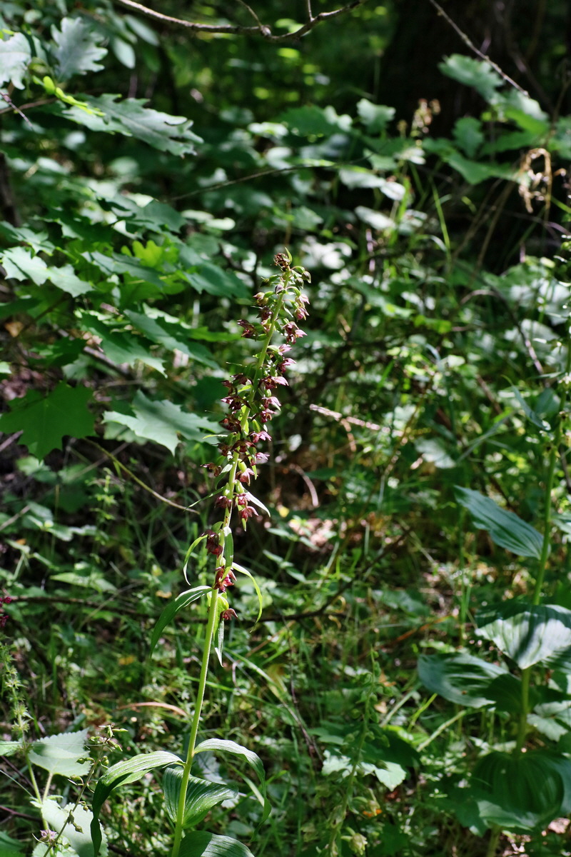 IMG-2016-07-24-00021306p_Bildgr��e �ndern