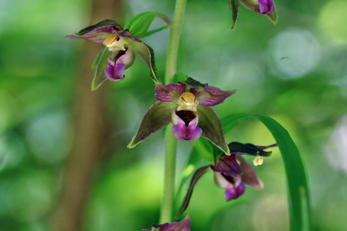 IMG-2016-07-24-00021311p_Bildgr��e �ndern