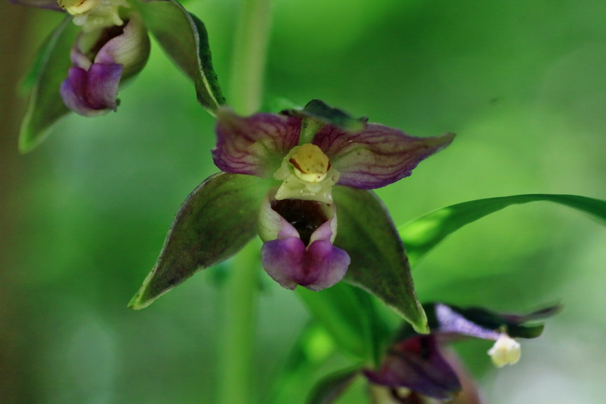 IMG-2016-07-24-00021314p_Bildgr��e �ndern