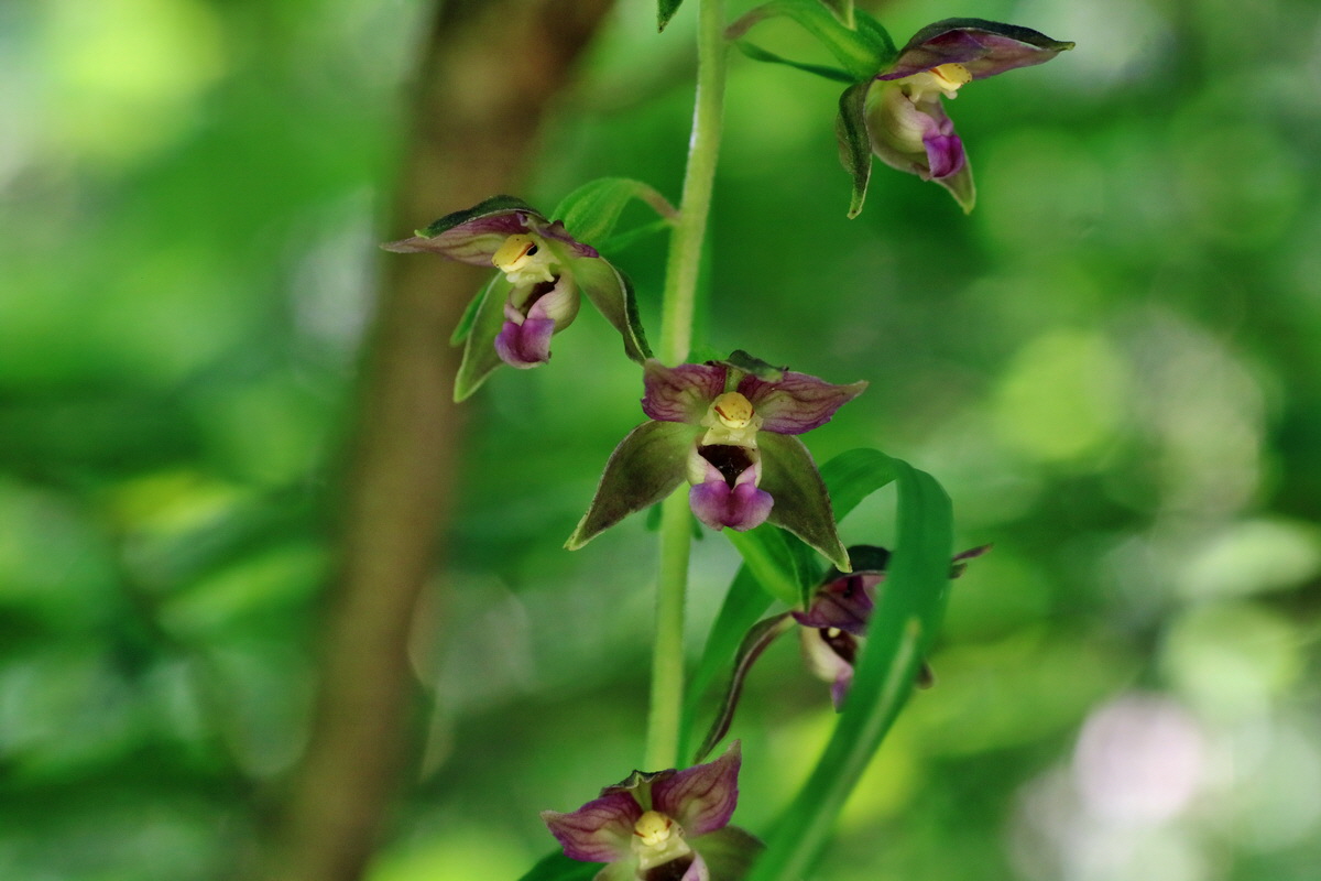 IMG-2016-07-24-00021320p_Bildgr��e �ndern