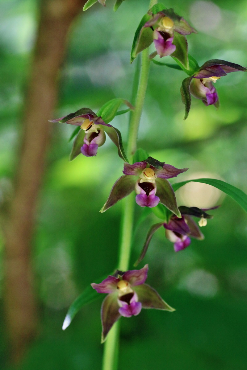 IMG-2016-07-24-00021321p_Bildgr��e �ndern